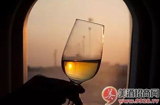 中國(guó)酒精飲料進(jìn)口市場(chǎng) 繁榮景象背后的消費(fèi)升級(jí)與多元選擇