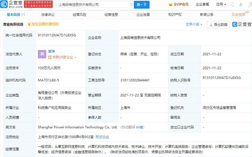 計算機(jī)信息技術(shù)咨詢服務(wù) 驅(qū)動企業(yè)數(shù)字化轉(zhuǎn)型的核心力量
